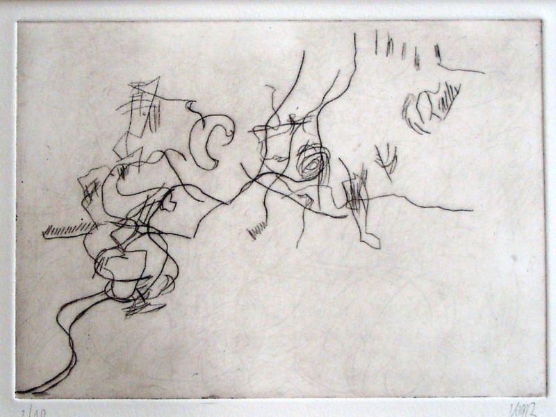 2005 10 aus dem flugzeug spurensuche  kaltnadel radierung 21 x 15 cm 2005 10 aus dem flugzeug spurensuche  kaltnadel radierung 21 x 15 cm