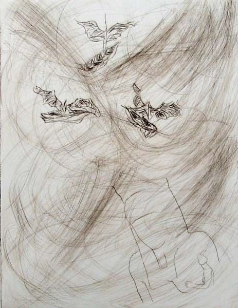 2005 14. o.t. kaltnadel radierung  20 x cm 2005 14. o.t. kaltnadel radierung  20 x cm