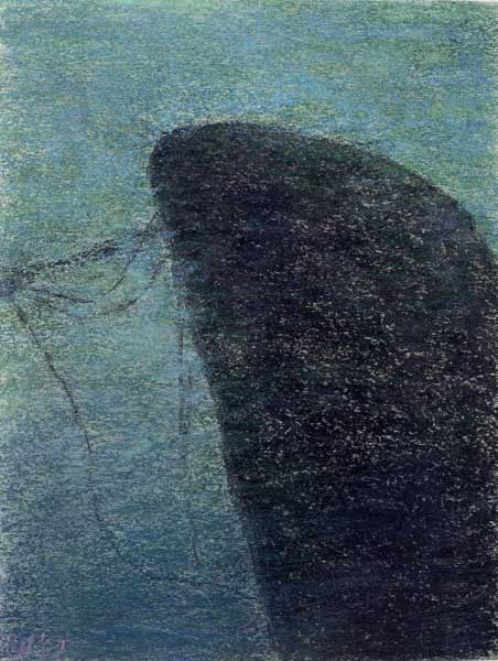 1998 03 wrack pastellkreide 35 x 50 cm 1998 03 wrack pastellkreide 35 x 50 cm